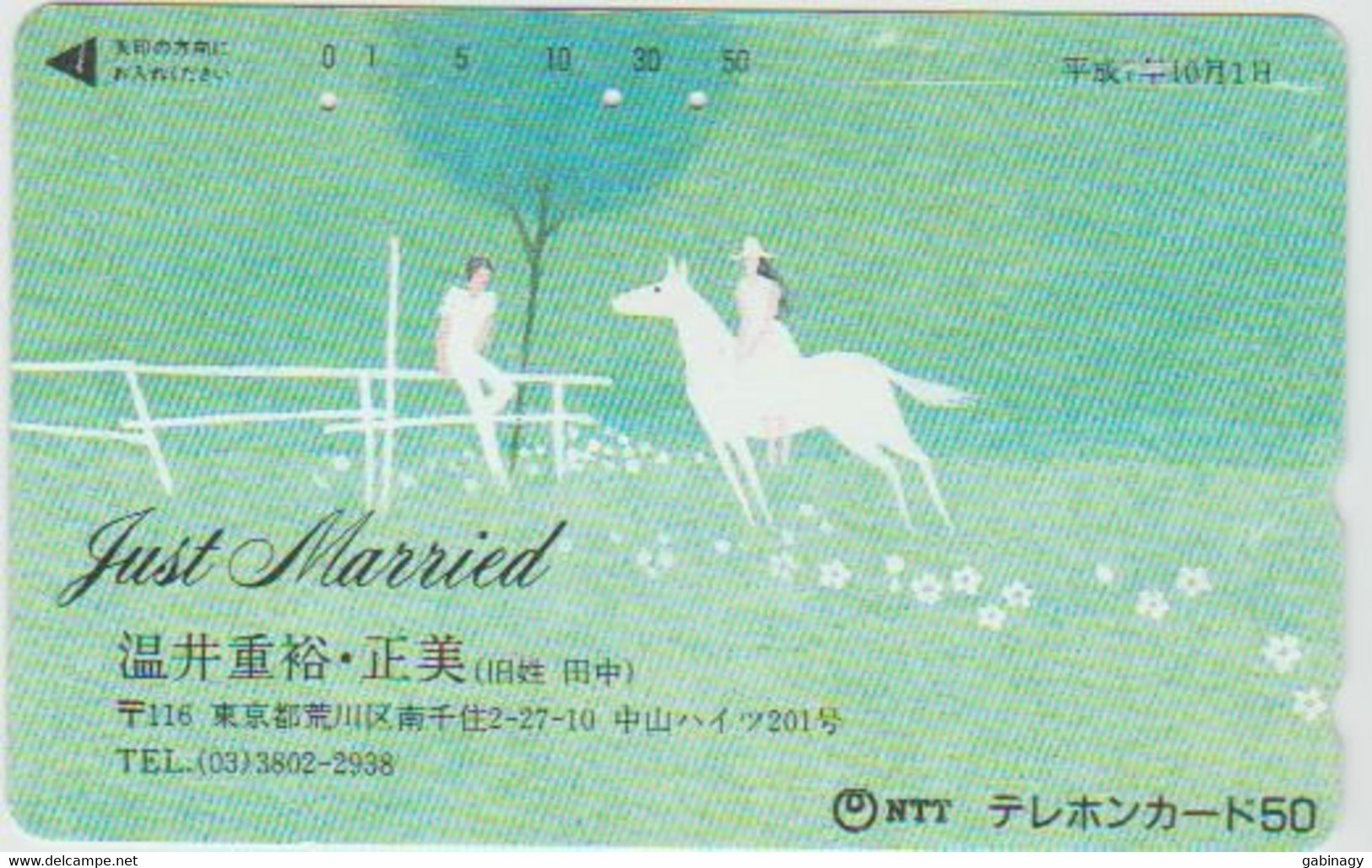 HORSE - JAPAN - H294 - 110-015 - JUST MARRIED - Cavalli