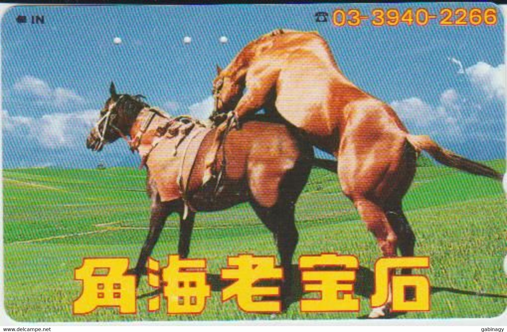 HORSE - JAPAN - H314 - 110-011 - Cavalli