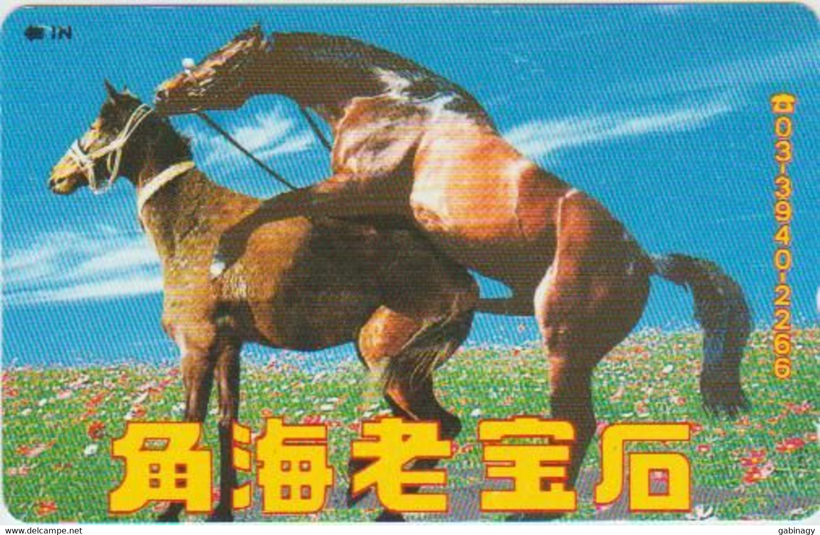 HORSE - JAPAN - H315 - 110-016 - Caballos