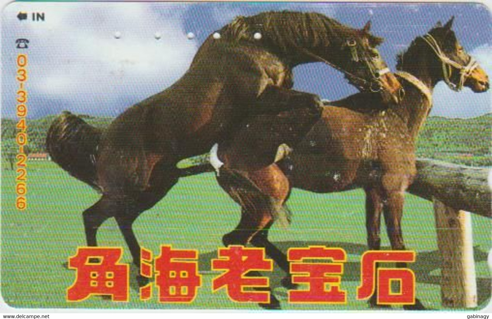 HORSE - JAPAN - H318 - 110-011 - Chevaux