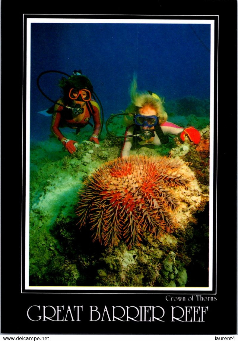 (2 E 7) Australia - QLD - Great Varrier Reef - Diver & Crown Thorms - Great Barrier Reef