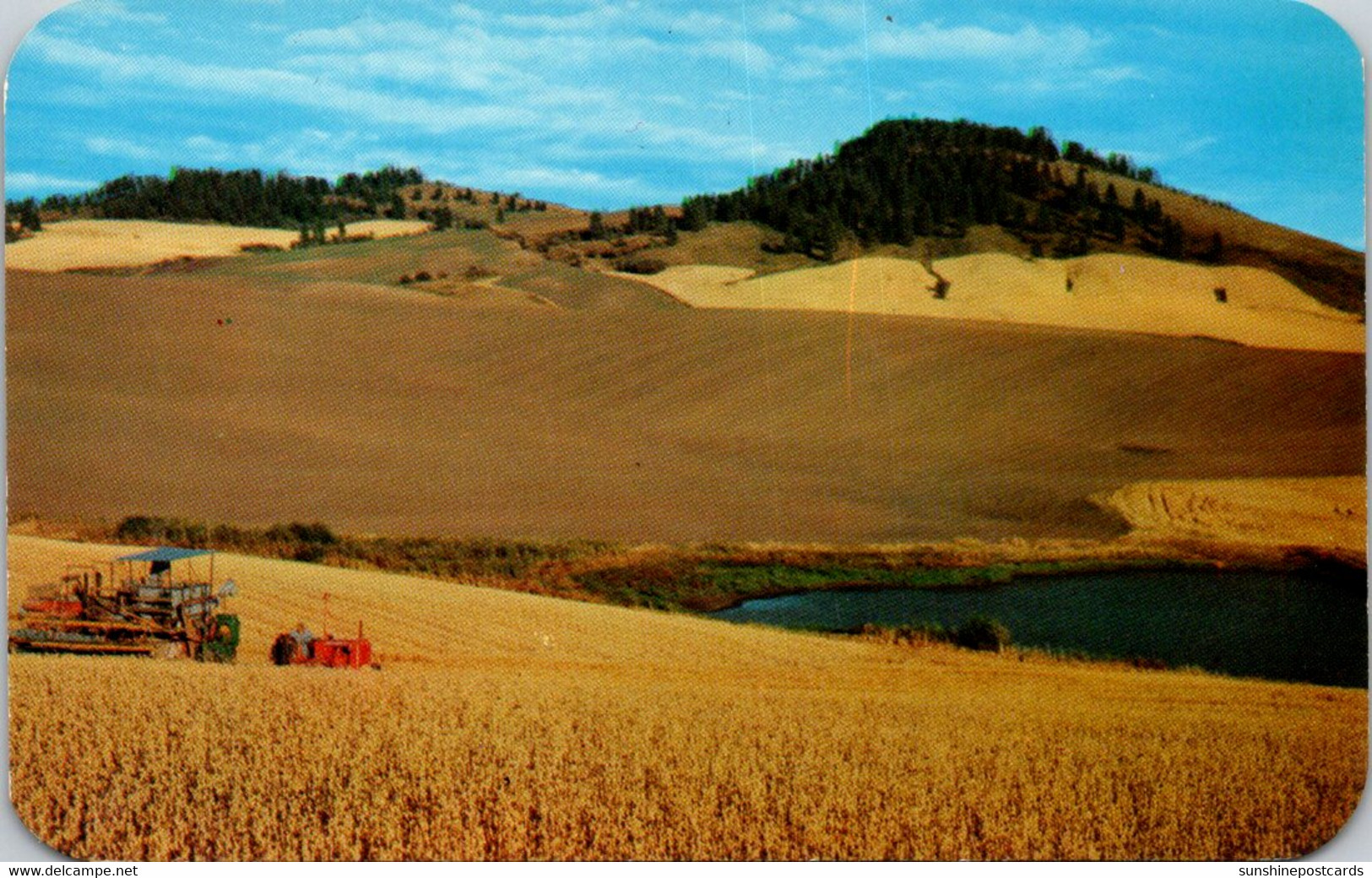 Idaho Beautiful Wheat Lands Of Palouse - Autres & Non Classés