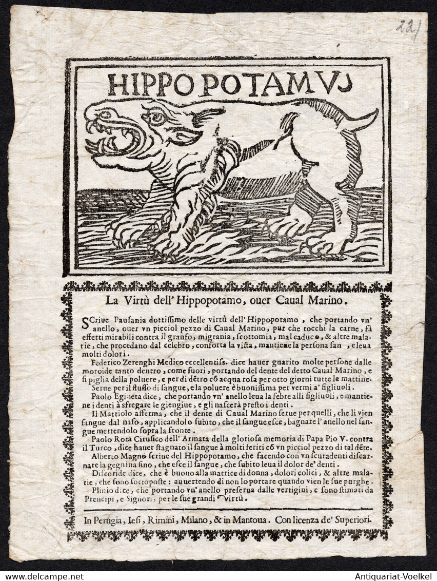 Hippopotamus. La Virtu Dell'Hippopotamo, Over Caval Marino. - Rare