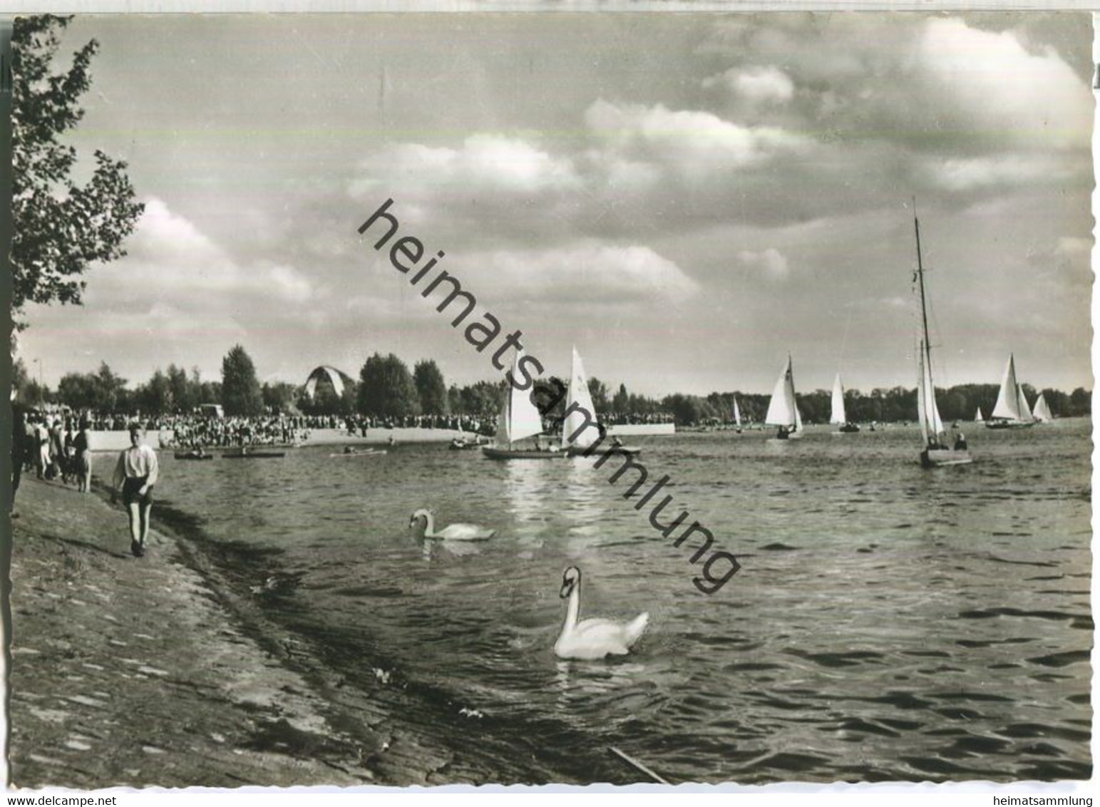 Berlin-Tegel - Am Tegeler See - Foto-Ansichtskarte - Verlag Foto-Hübner Berlin - Tegel