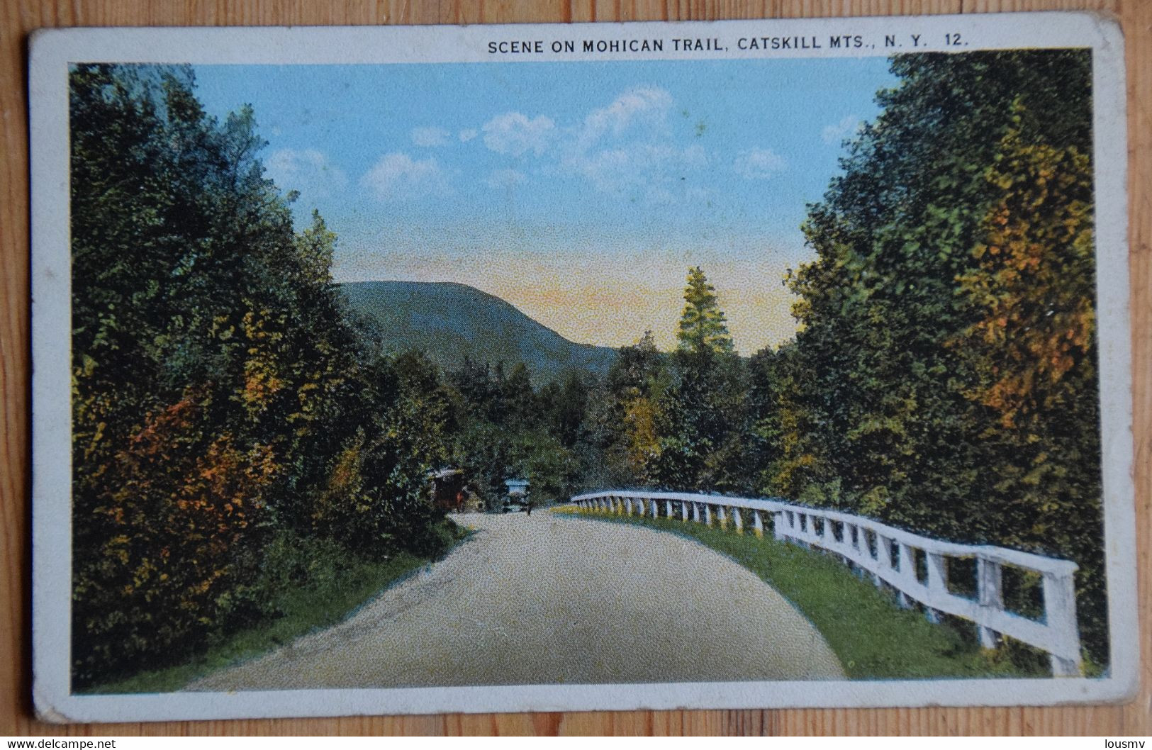 Catskill Mts. N. Y. - Scene On Mohican Trail - Colorisée - (n°21961) - Catskills