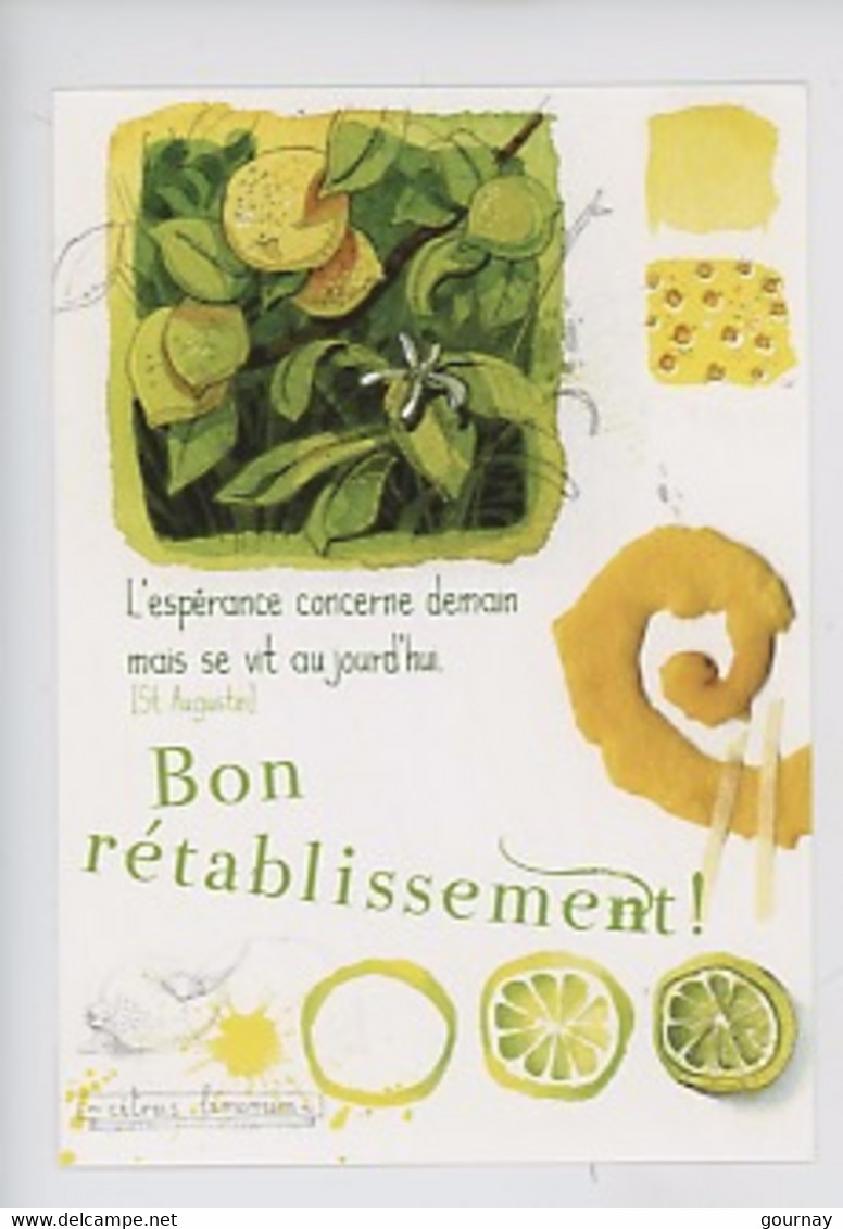 Citron( Citrus Limonum) Dominique Mertens Illustrateur (cp Vierge Claire Vision éd) Bon Rétablissement "l'espérance..auj - Geneeskrachtige Planten