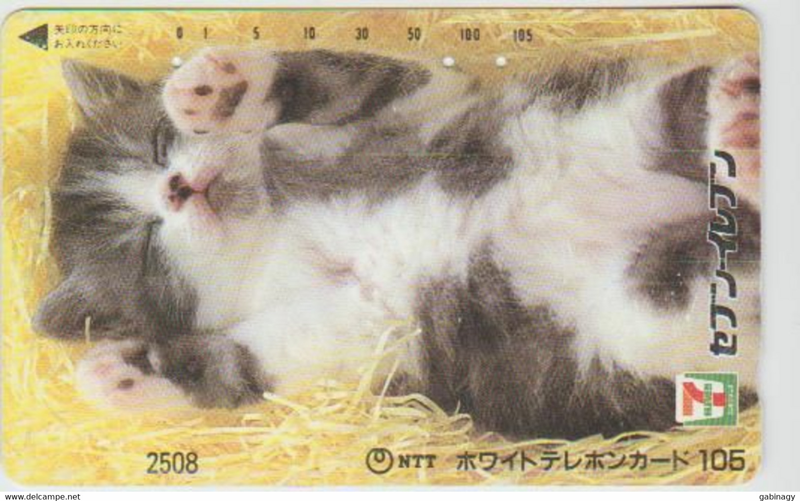 CATS - JAPAN - H009 - 110-011 - Gatti