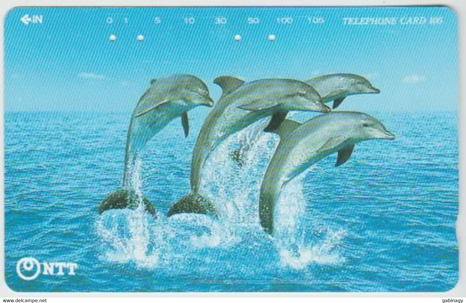 DOLPHINE - JAPAN-001 - 231-236 - Dolfijnen