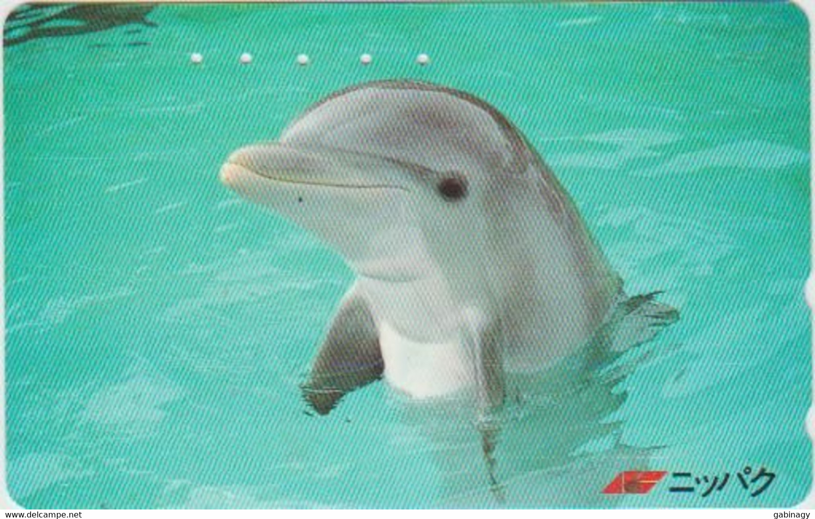 DOLPHINE - JAPAN-009 - 110-011 - Dolfijnen