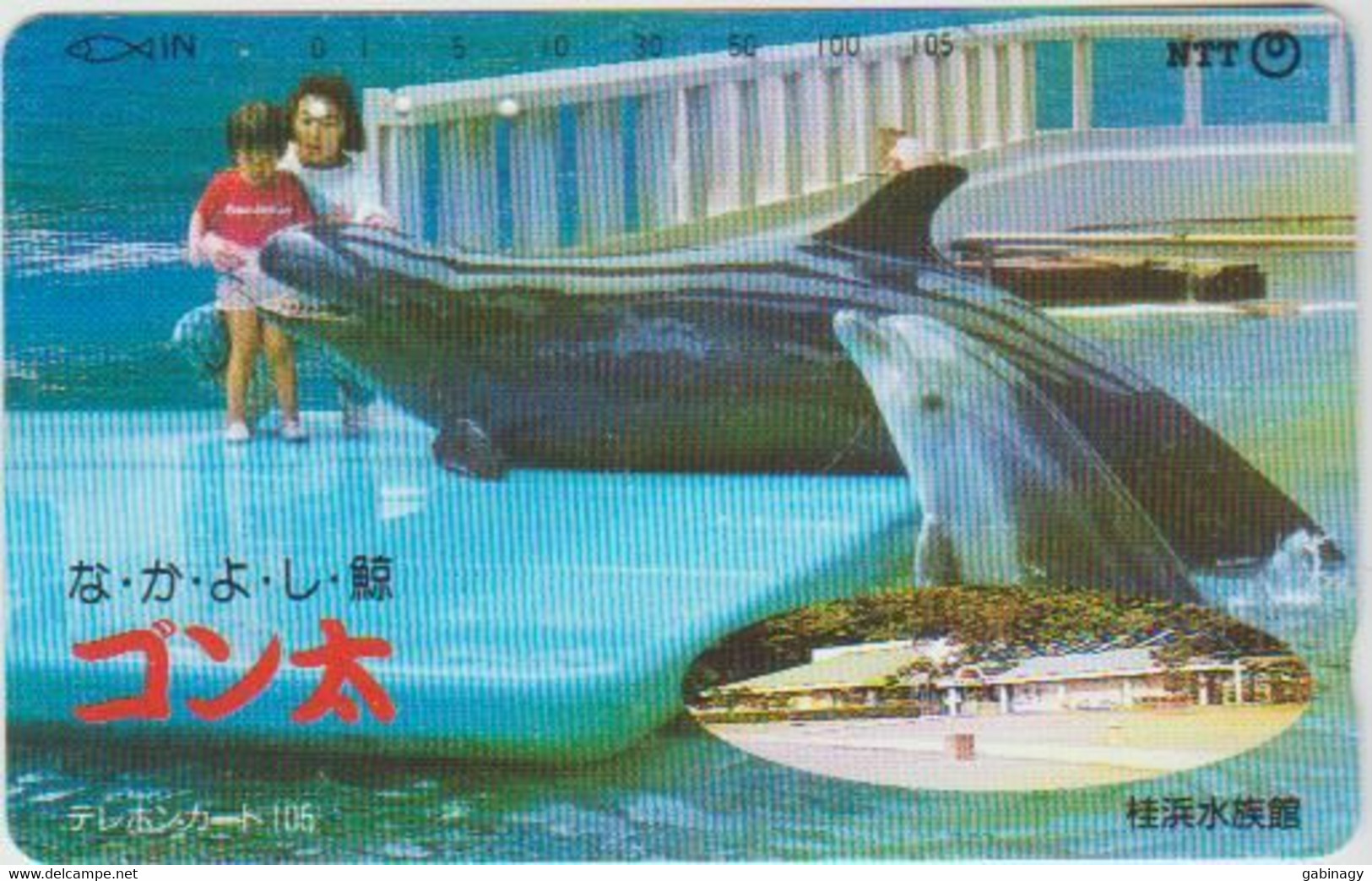 DOLPHINE - JAPAN-016 - 371-044 - Delfines
