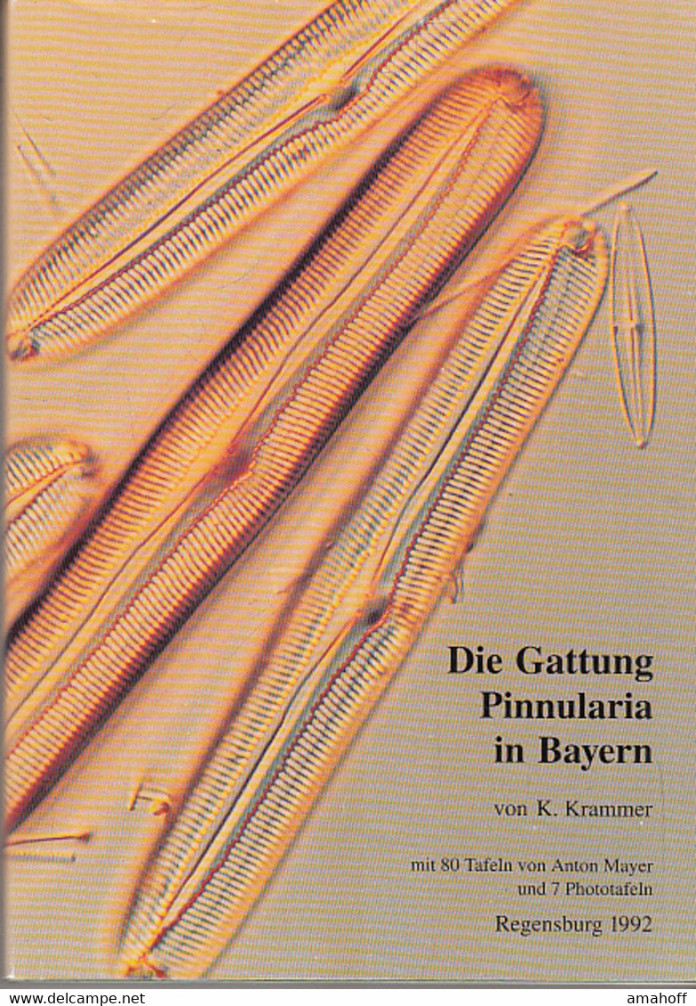 Die Gattung Pinnularia In Bayern. Hoppea, Denkschriften Der Regensburgischen Botanischen Gesellschaft. Band 52 - Nature