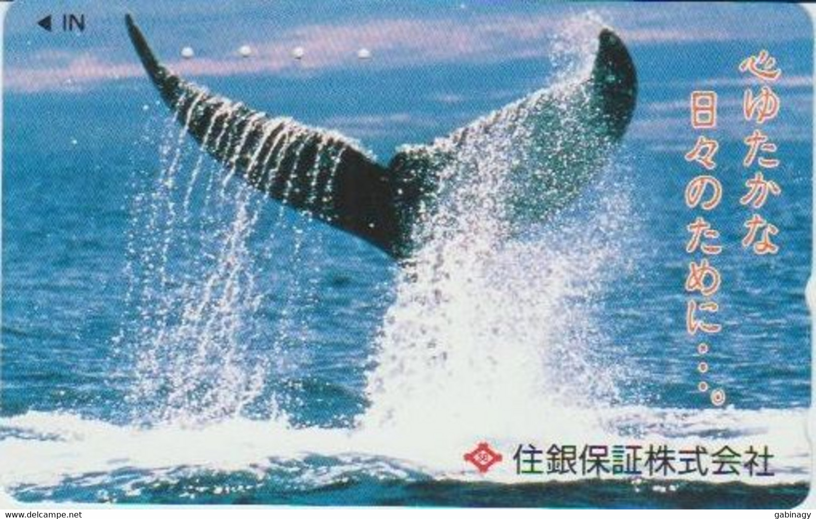 WHALE - JAPAN-014 - 110-016 - Pesci