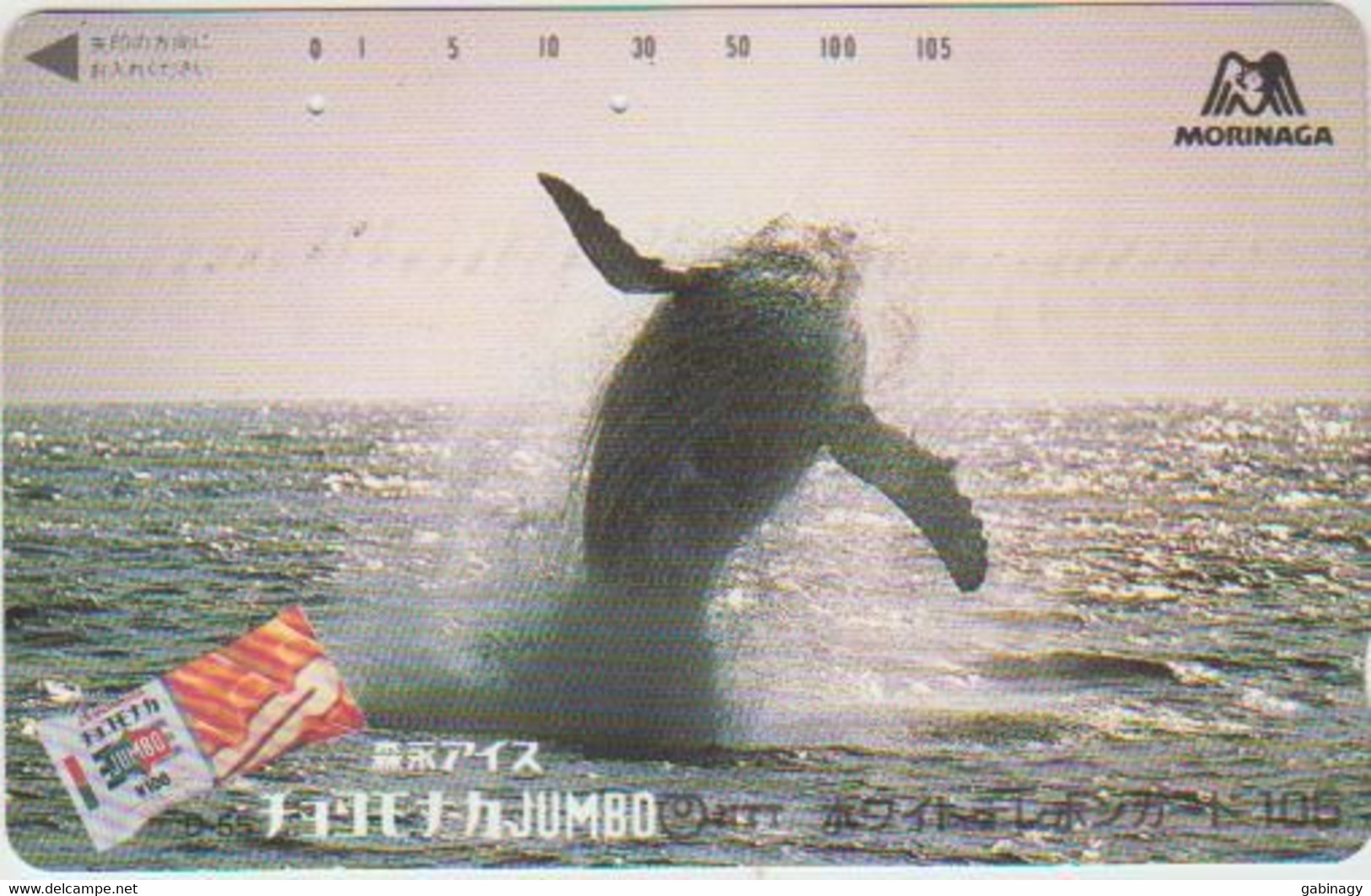 WHALE - JAPAN-015 - 110-011 - Vissen