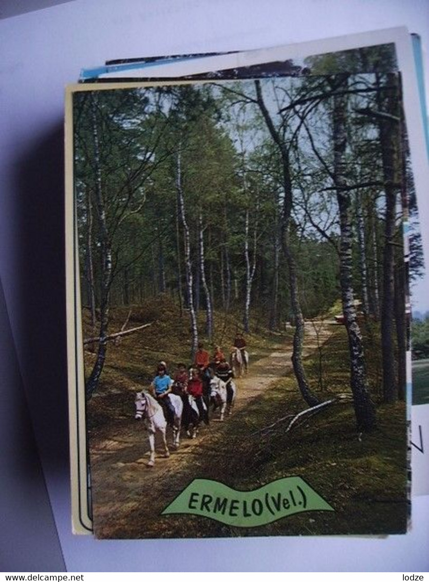 Nederland Holland Pays Bas Ermelo Met Paarden - Ermelo