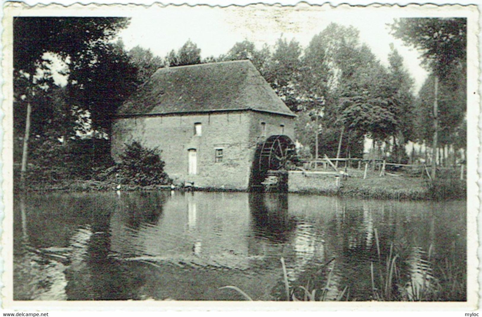 Retie. De Watermolen. - Retie