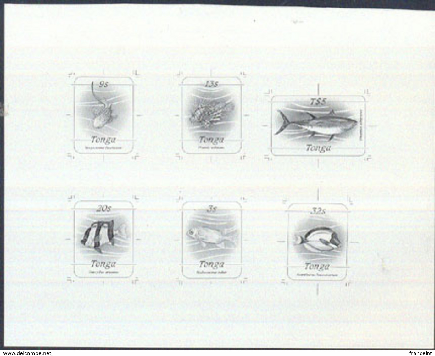TONGA(1984) Fish. Compound Monochrome Proof Of Fish From Shells & Fish Series. Shows The 6 Different Fish. - Tonga (1970-...)