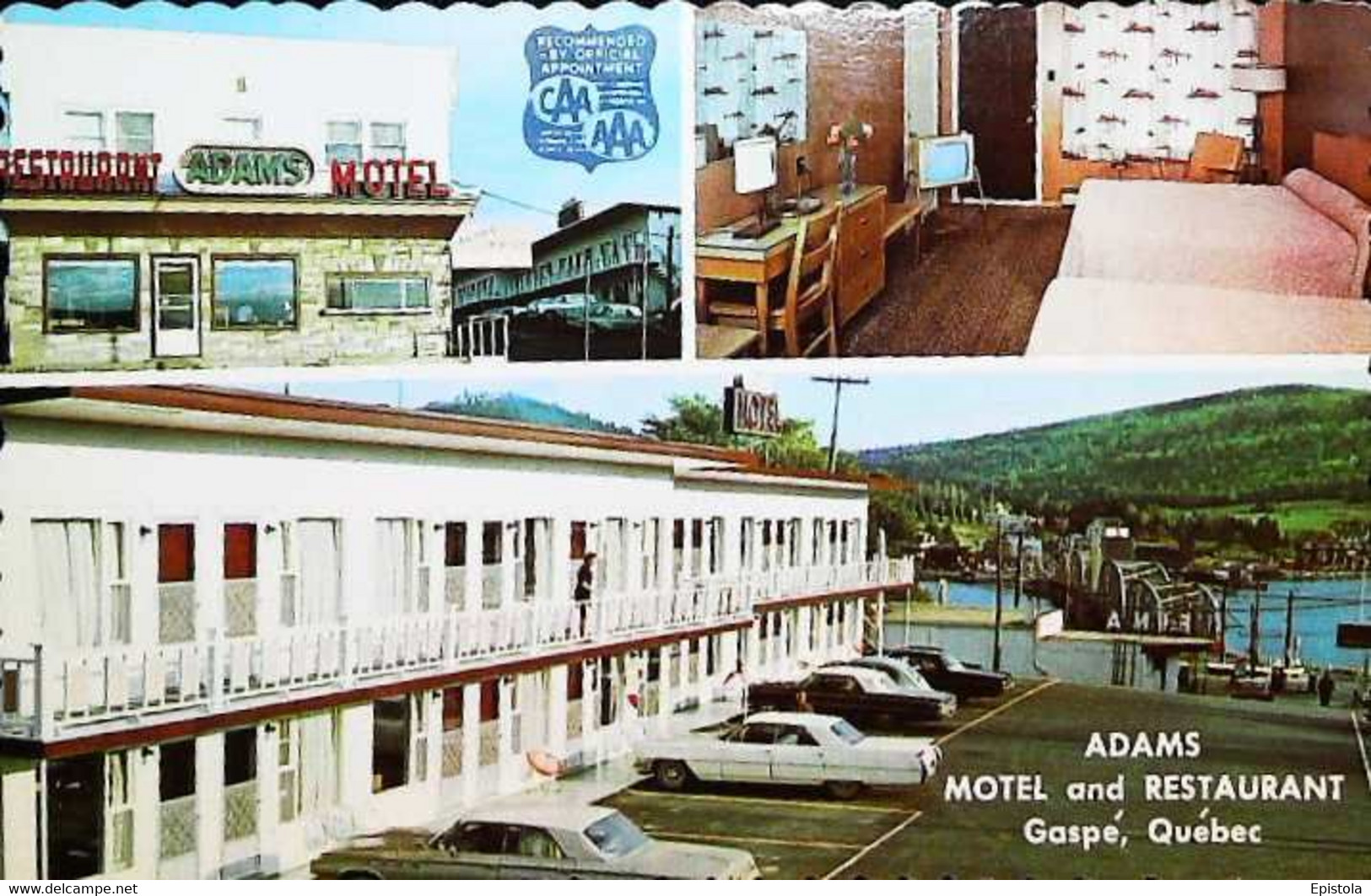 ►  Gaspé ADAMS MOTEL Restaurant Tv Room & Automobiles Province Du Quebéc 1960s - Gaspé