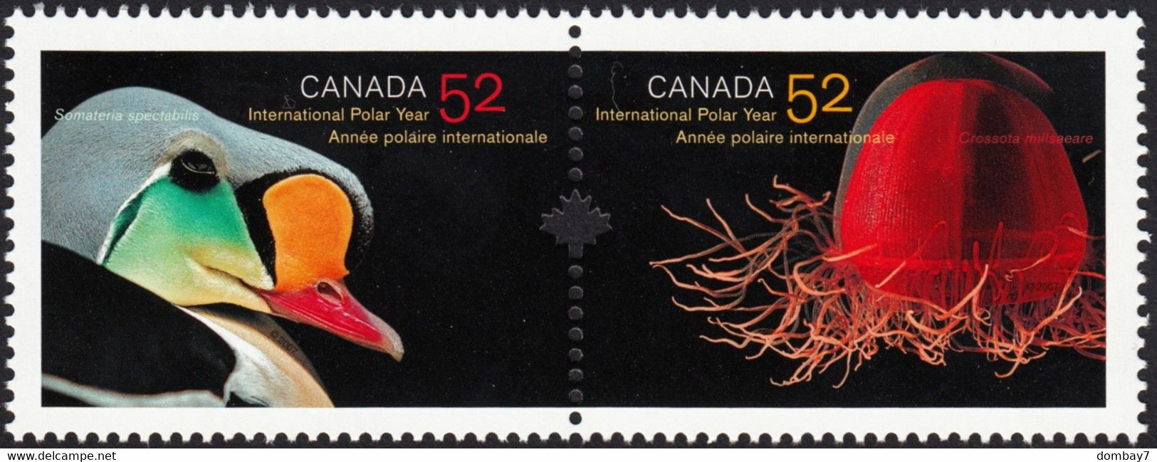 Qt. INTERNATIONAL POLAR YEAR = KING EIDER DUCK & DEEP-SEA JELLYFISH - Se-tenant Pair Canada 2007 Sc#2205a MNH - Internationales Polarjahr