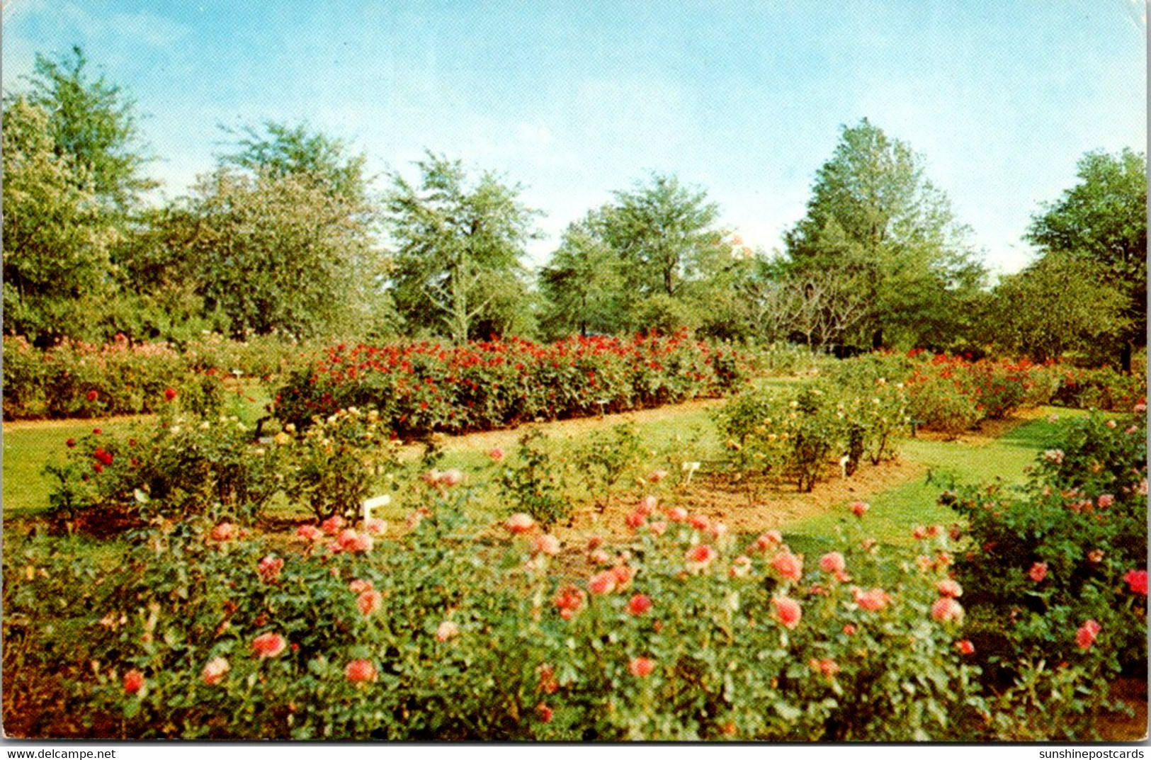 Mississippi Jackson Livingston Park Rose Gardens - Jackson