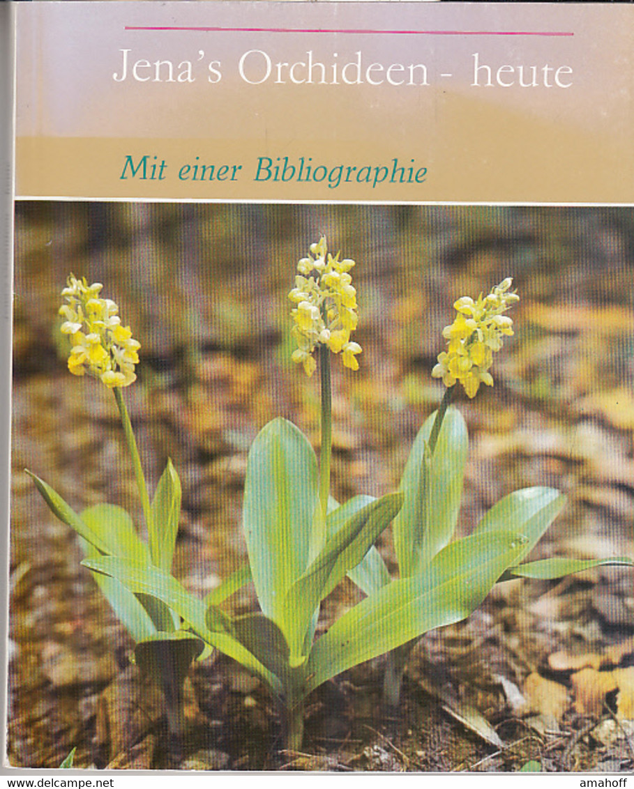 Jena's Orchideen - Heute : Mit Einer Bibliographie Zur Pflanzenwelt Des Mittleren Saaletales. - Nature