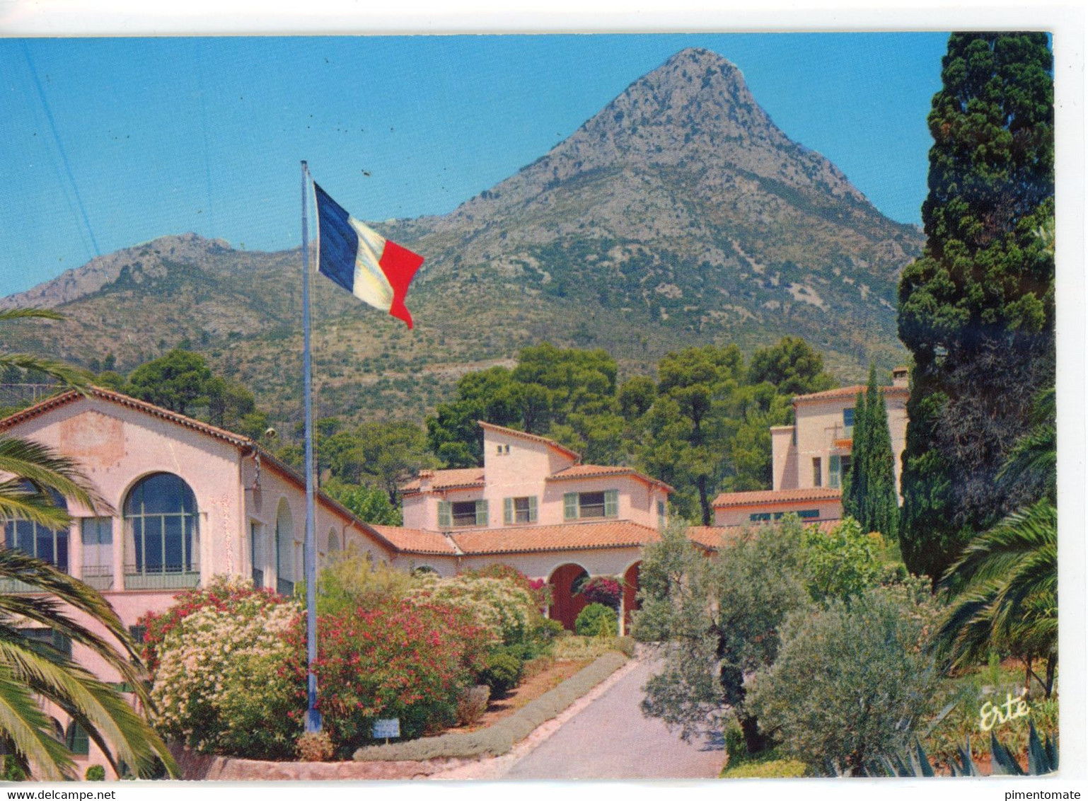 LA VALETTE DU VAR DOMAINE DES GUEULES CASSEES L'ALLEE CENTRALE LE COUDON 1973 - La Valette Du Var