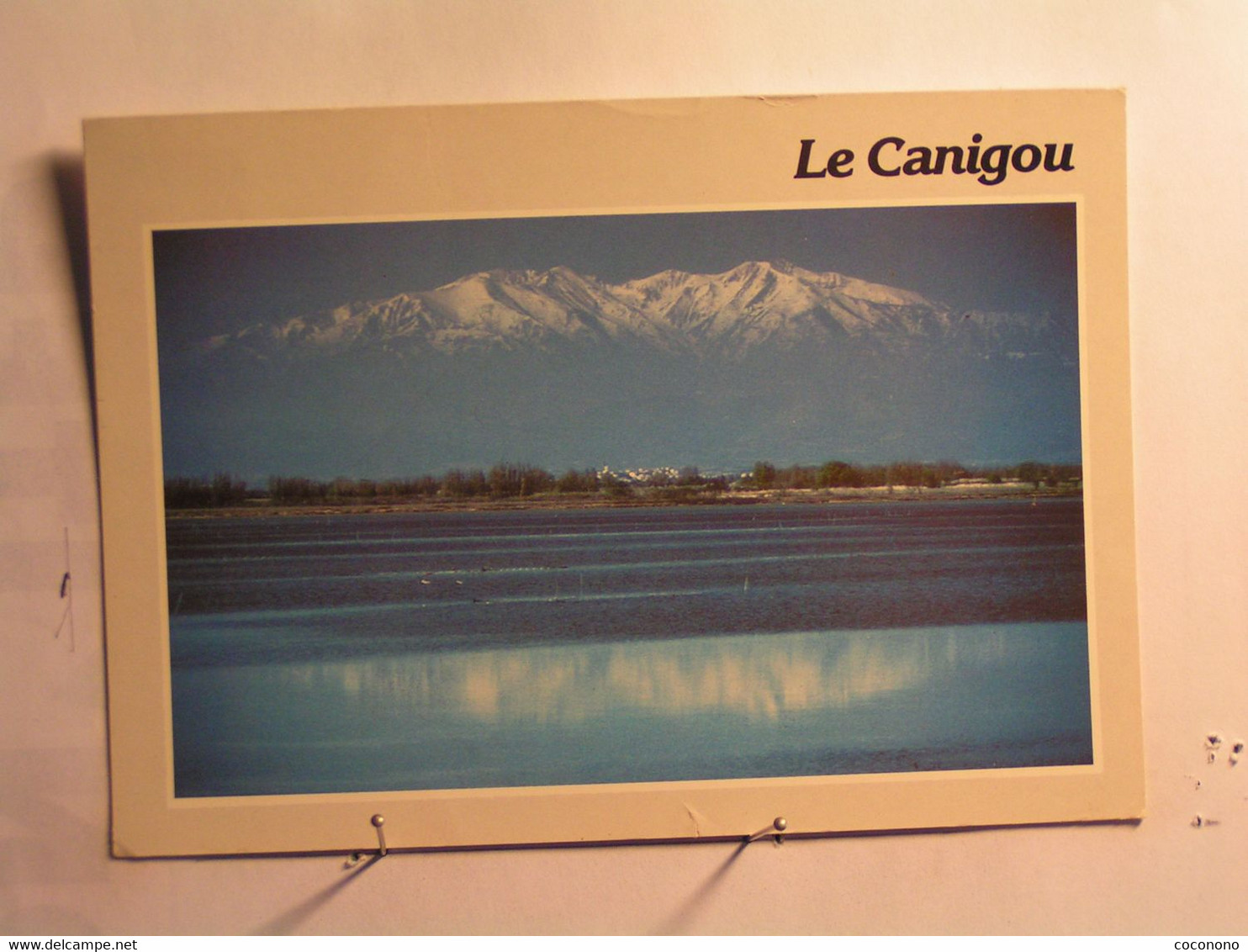 Le Canigou Depuis L'étang De Cannet - Canet En Roussillon