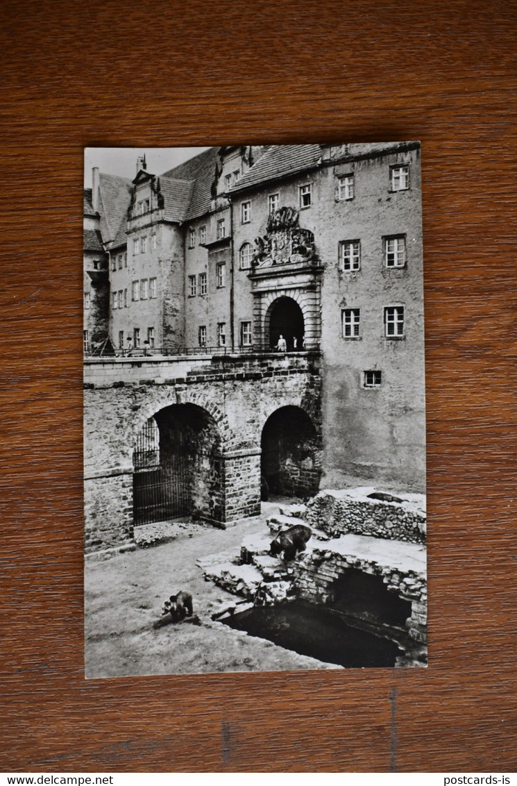 D165 Torgau Im Barenfreigehege Von Schloss Hartenfels 1963 - Torgau