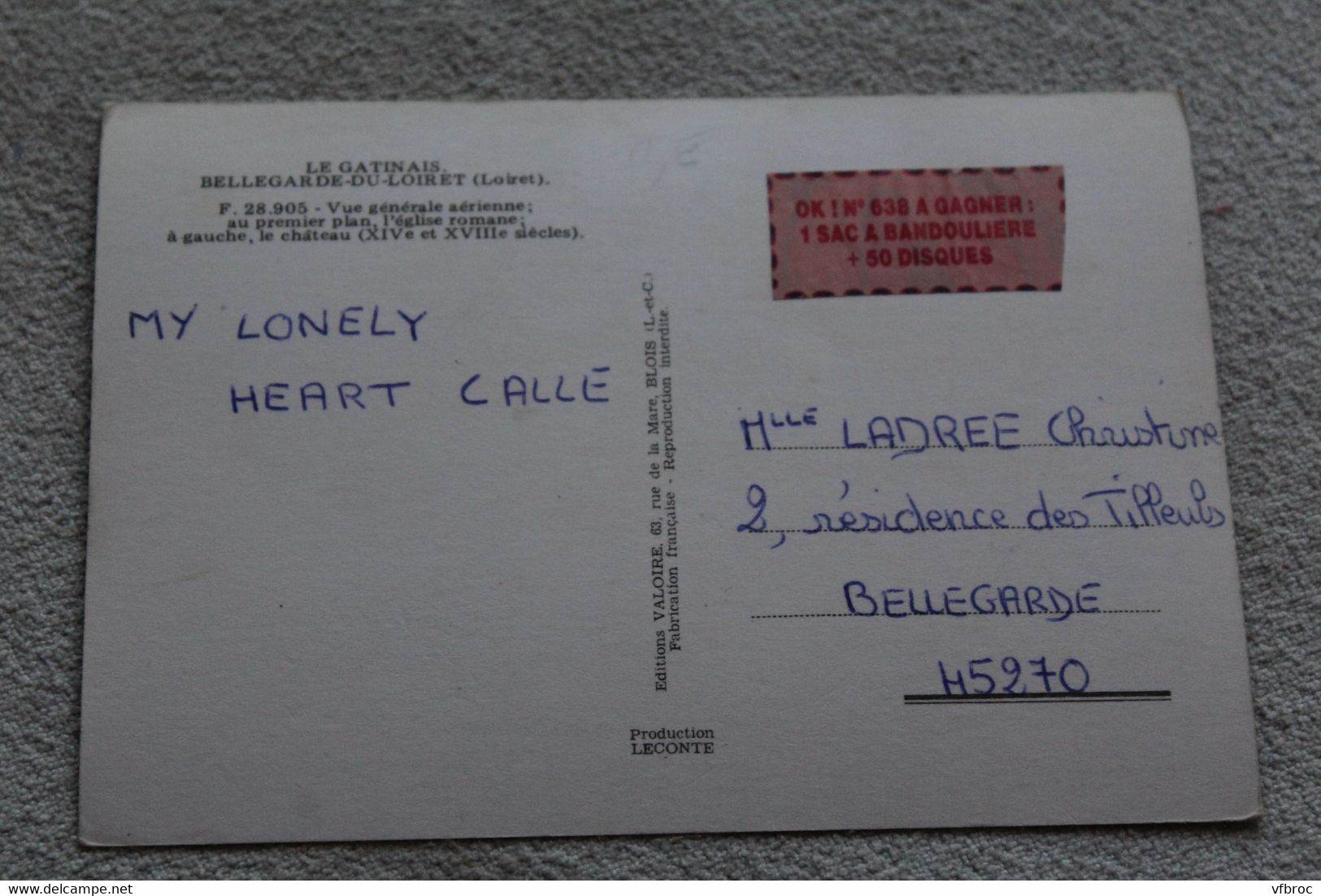 Cpm, Bellegarde Du Loiret, Vue Générale Aérienne, Loiret 45 - Autres & Non Classés