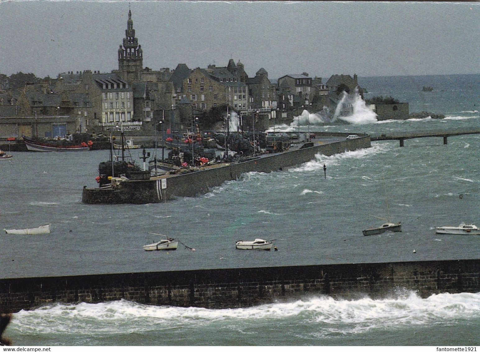 TEMPETE DE NORDET SUR ROSCOFF (dil147) - Roscoff