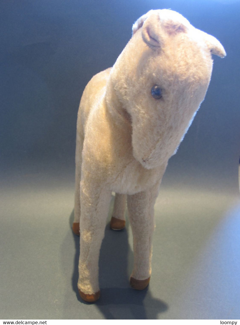 Peluche shop steiff ancienne