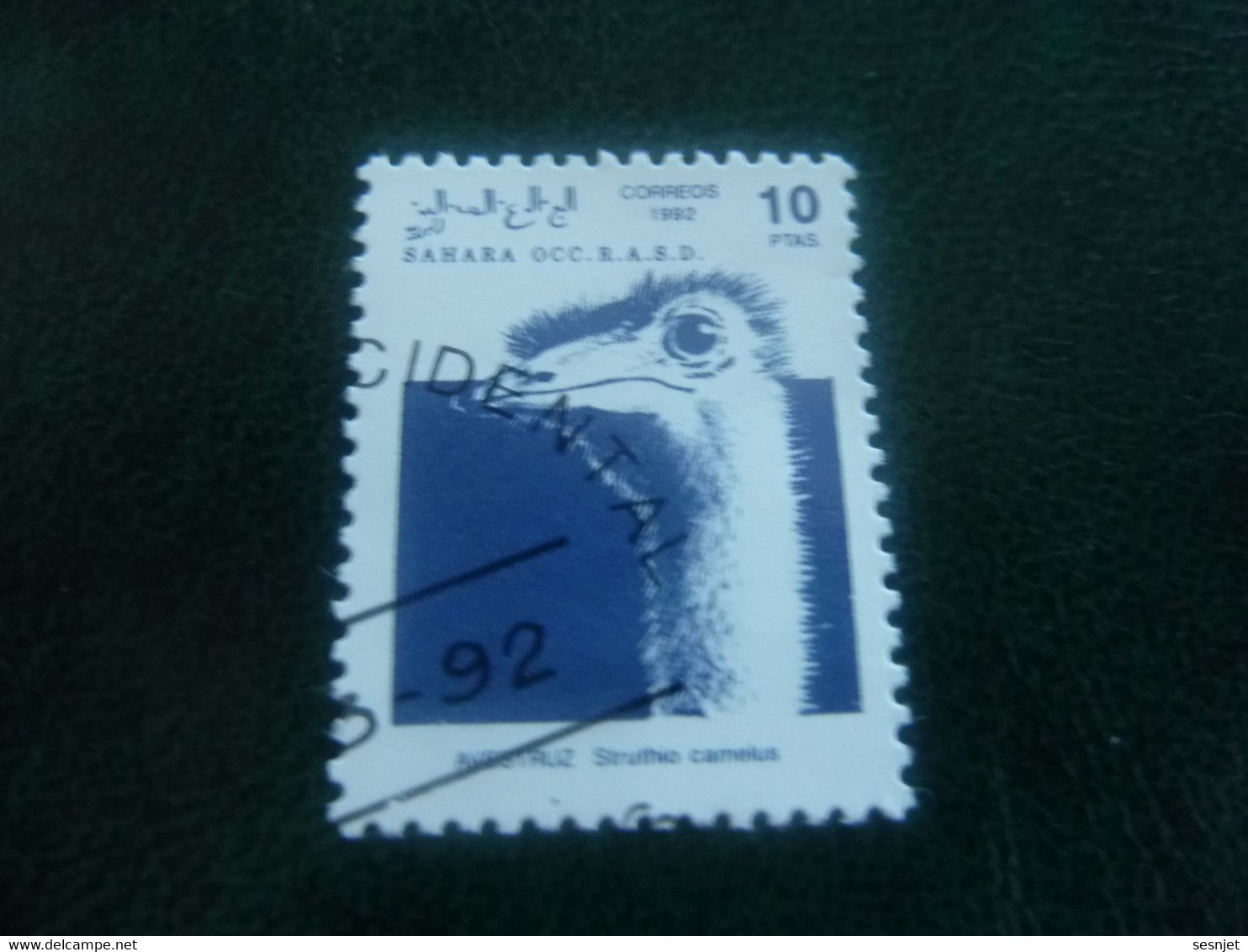 Sahara Occ R.a.sd.d. - Autruche - Val 10 Ptas - Bleu - Oblitéré - Année 1992 - - Struisvogels