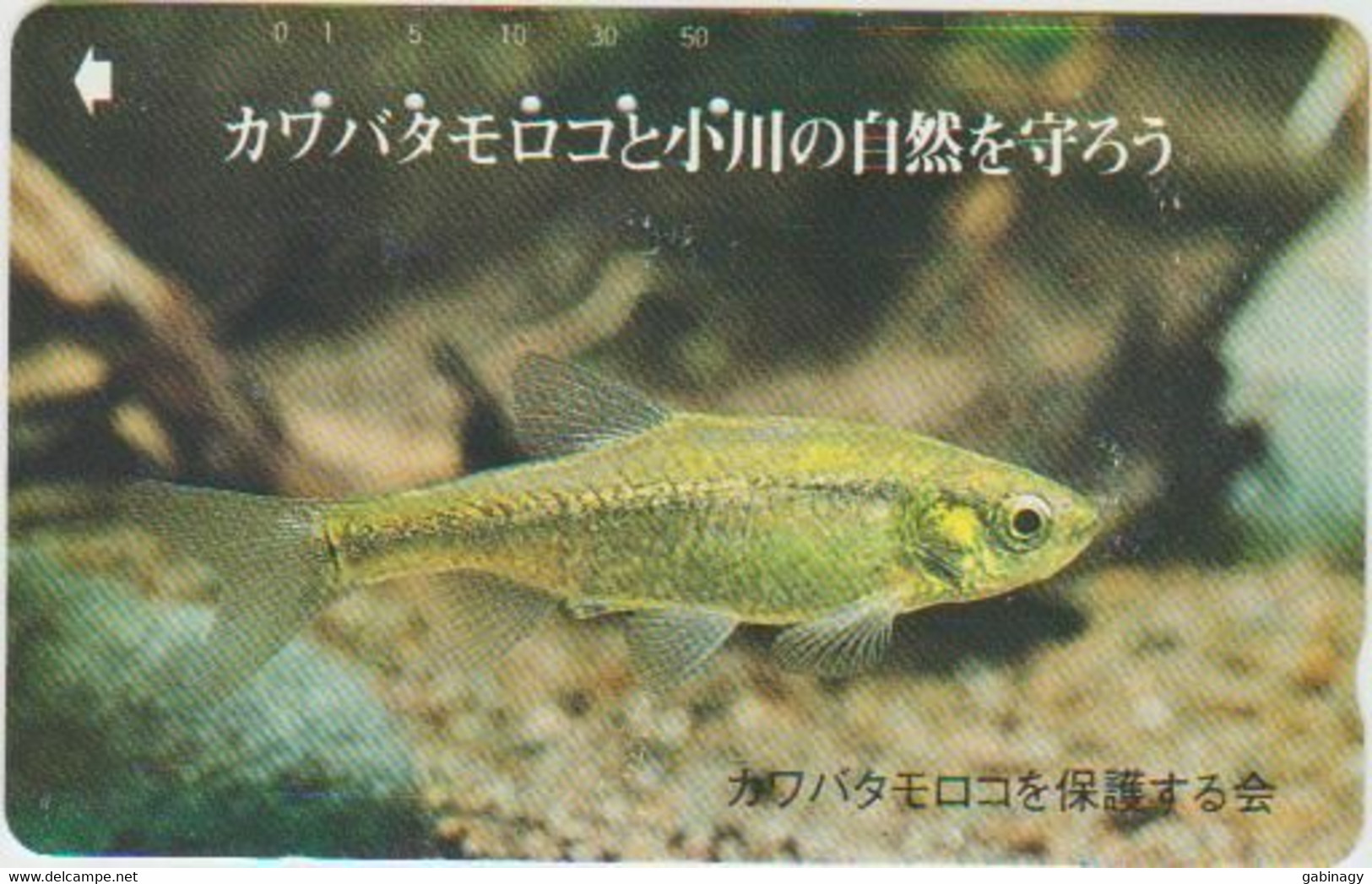 FISH - JAPAN - H036 - 110-011 - Fische
