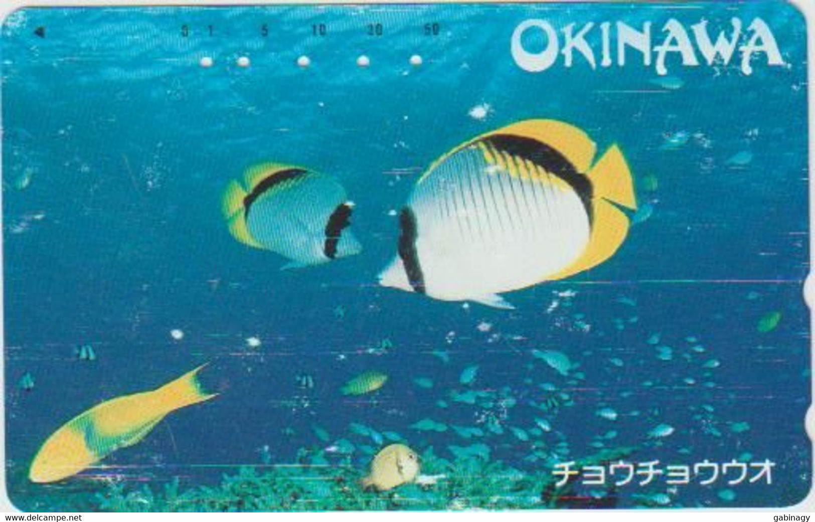 FISH - JAPAN - H038 - 110-011 - OKINAWA - Vissen