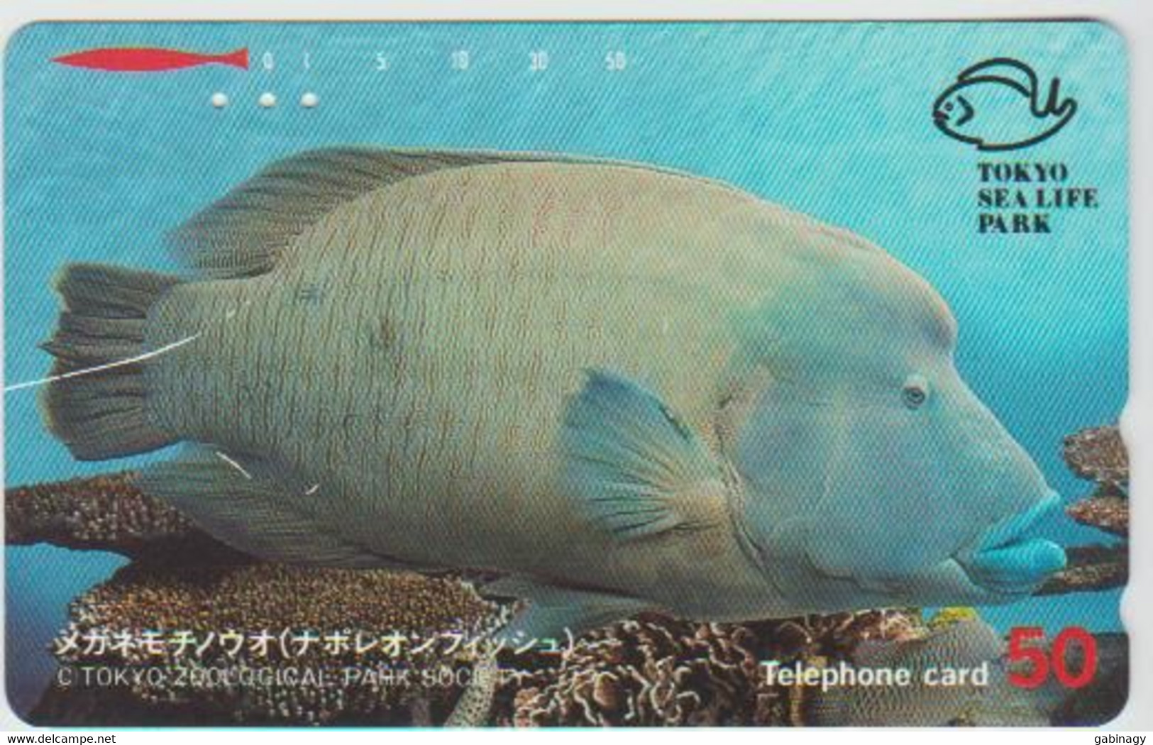 FISH - JAPAN - H042 - 110-011 - Peces
