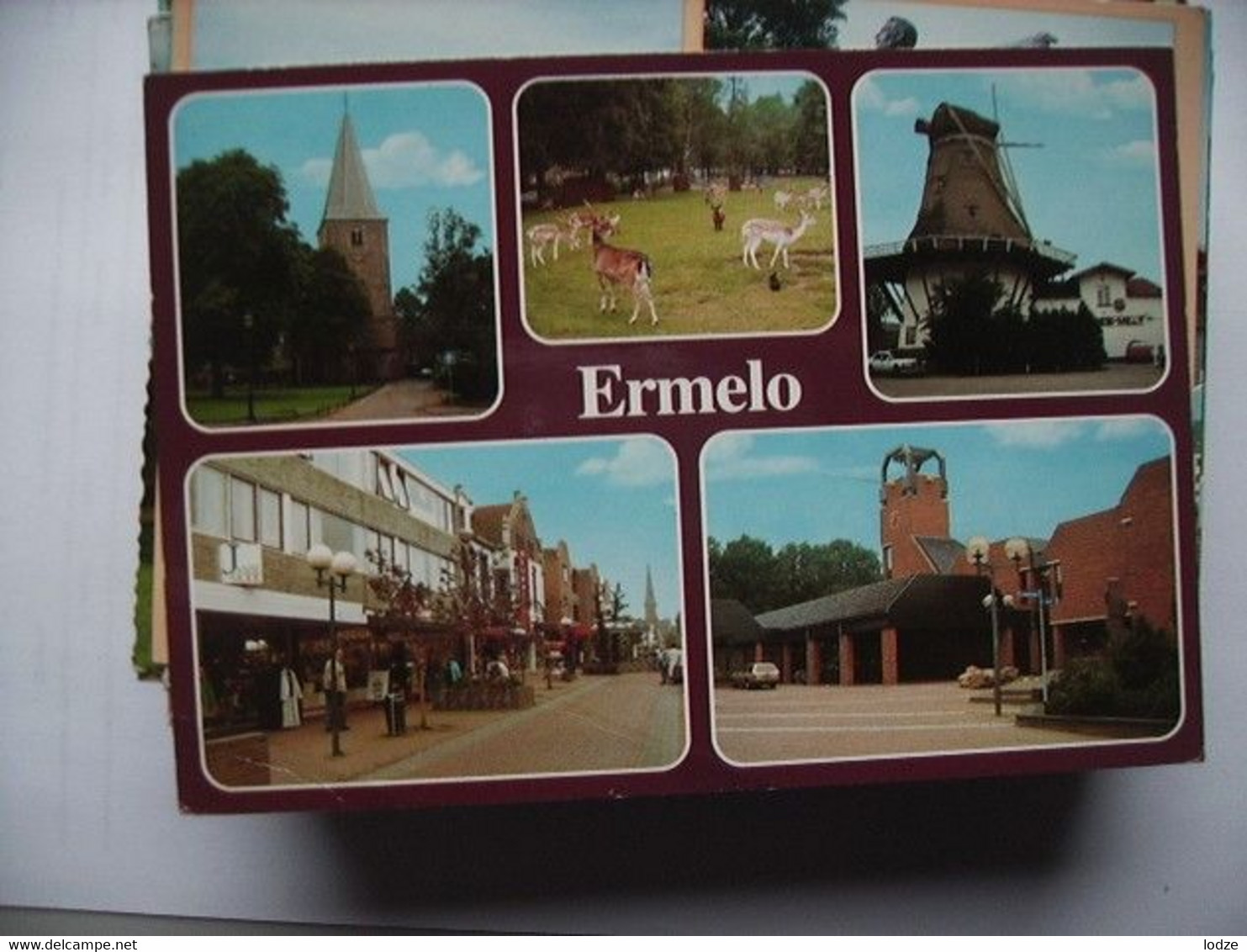 Nederland Holland Pays Bas Ermelo Met Herten Bij Molen - Ermelo