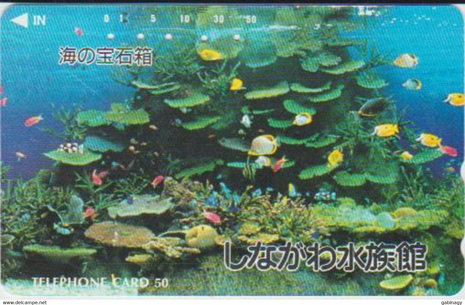 FISH - JAPAN - H044 - 110-011 - Fische