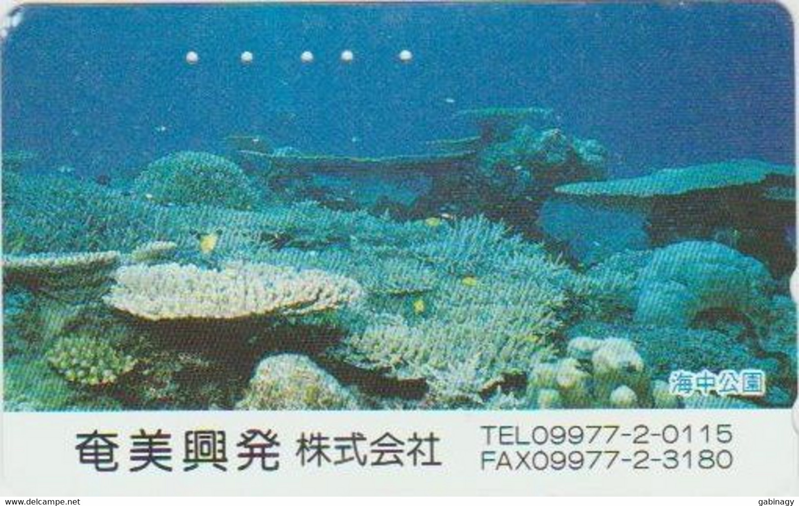 UNDERWATER LIFE - JAPAN-002 - 110-011 - Vissen