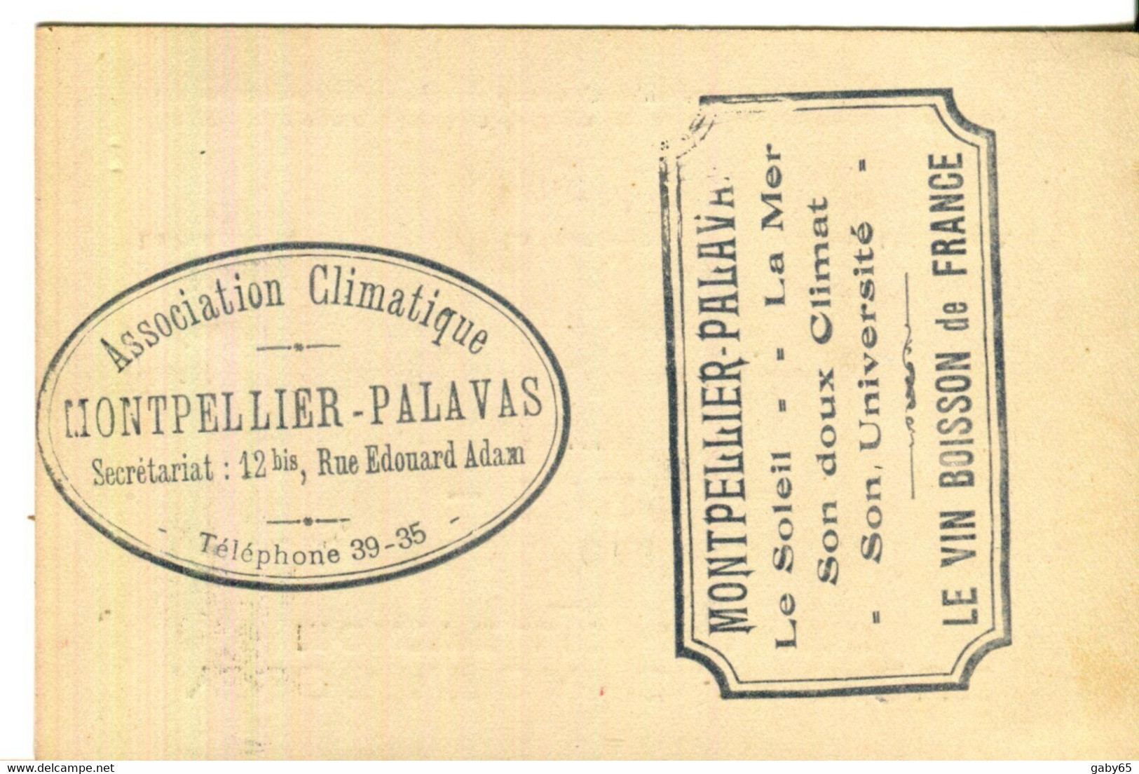 34.HERAULT. MONTPELLIER-PALAVAS.CARTE DE MEMBRE DE L'ASSOCIATION CLIMATIQUE.1929. - Non Classés