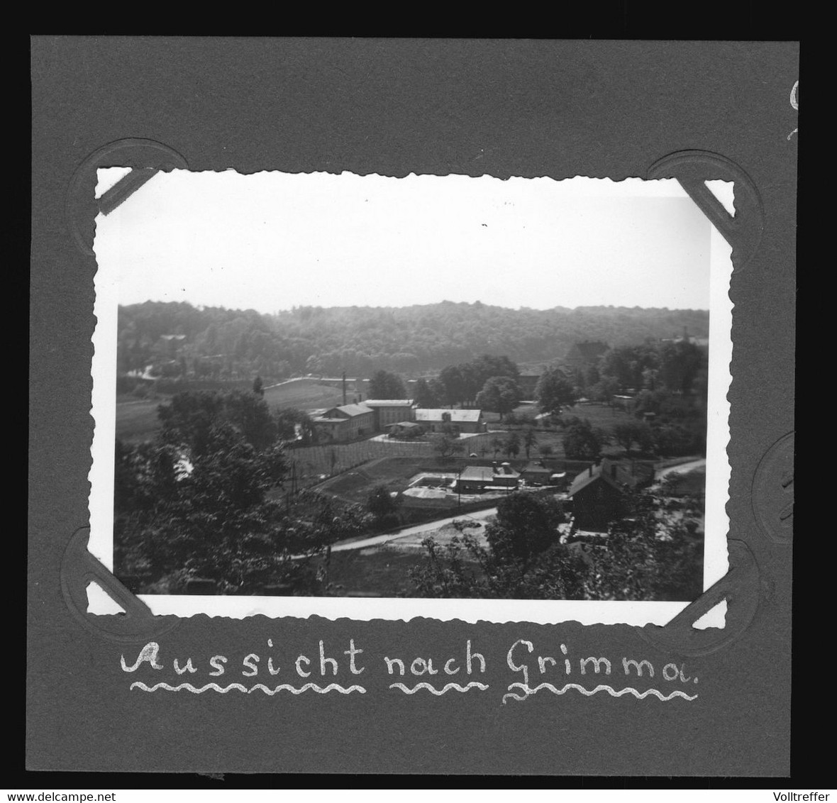 Orig. Foto 1938 Aussicht Auf Grimma Vom  Burghotel Aus Gesehen ? - Grimma