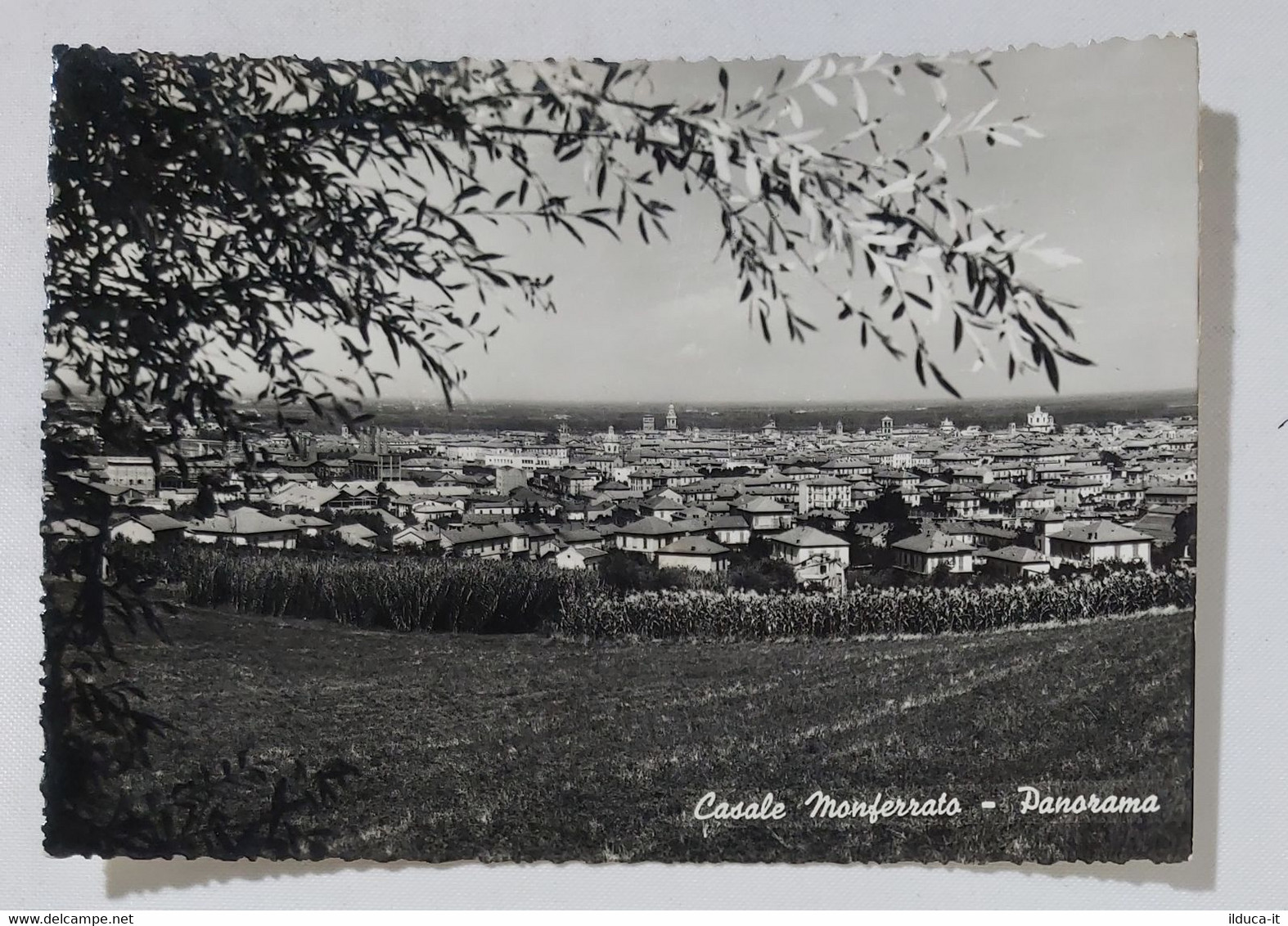50328 Cartolina - Alessandria - Casale Monferrato - Panorama - VG 1955 - Alessandria
