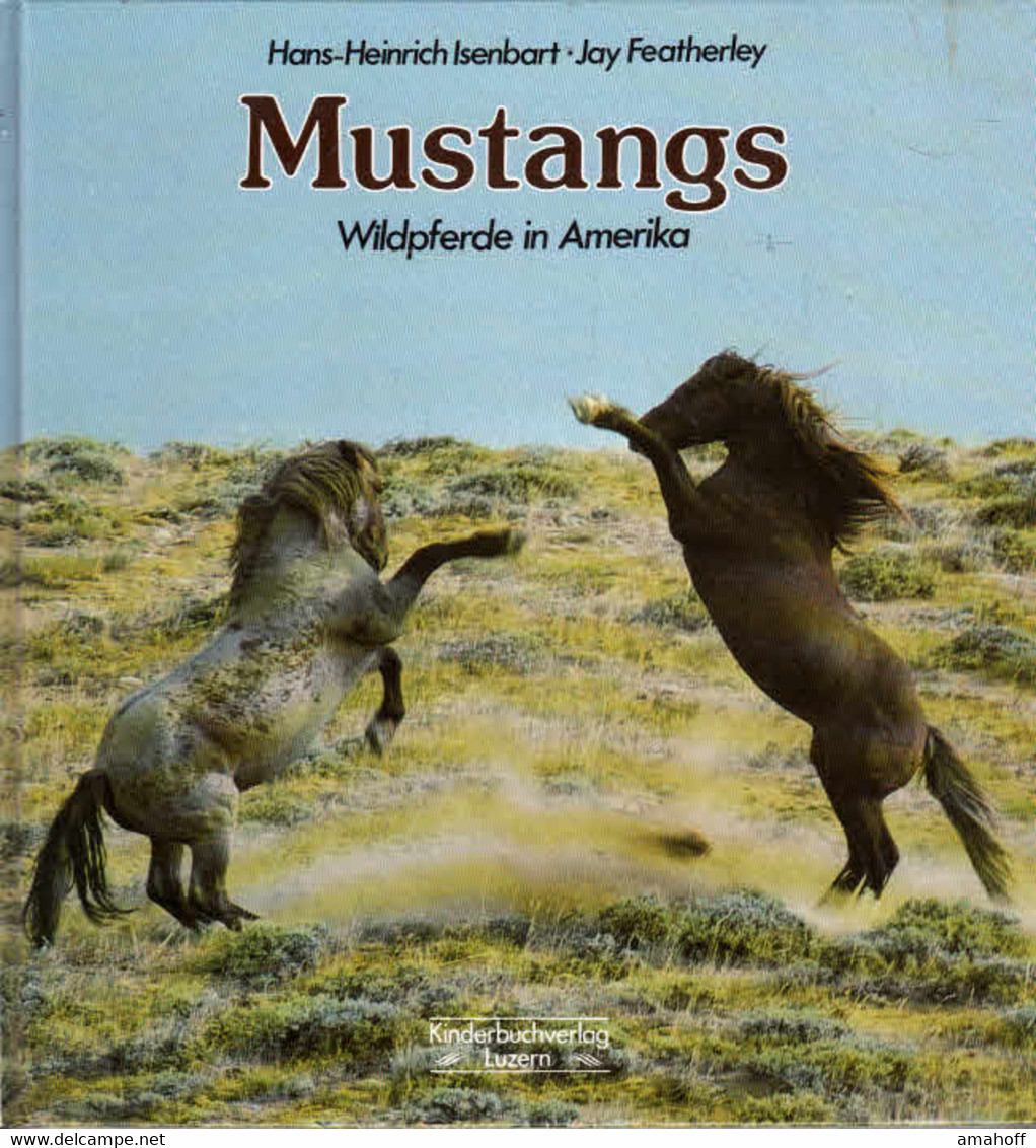 Mustangs. Wildpferde In Amerika - Nature