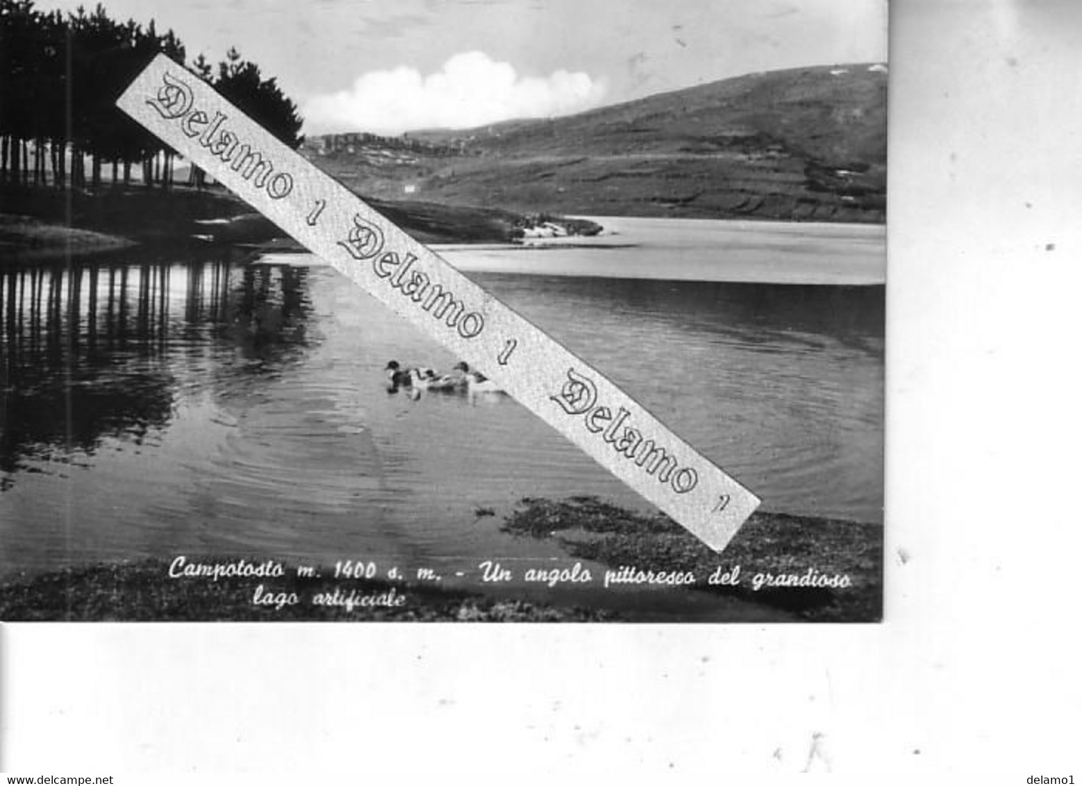 ABRUZZO -- AQUILA E PROV. -- CAMPOTOSTO -- Un Angolo Pittoresco Del Grandioso  Lago  Artificiale - Avezzano