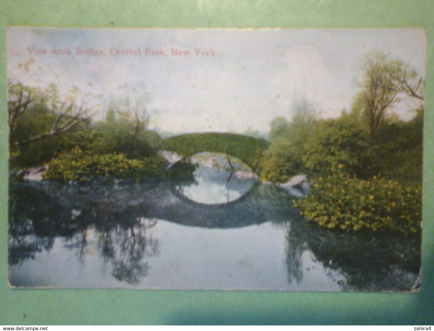 Vine Arch Bridge, Central Parck - New York  - Success Postal Card Co. Publ. New York N° 1054 - Parchi & Giardini