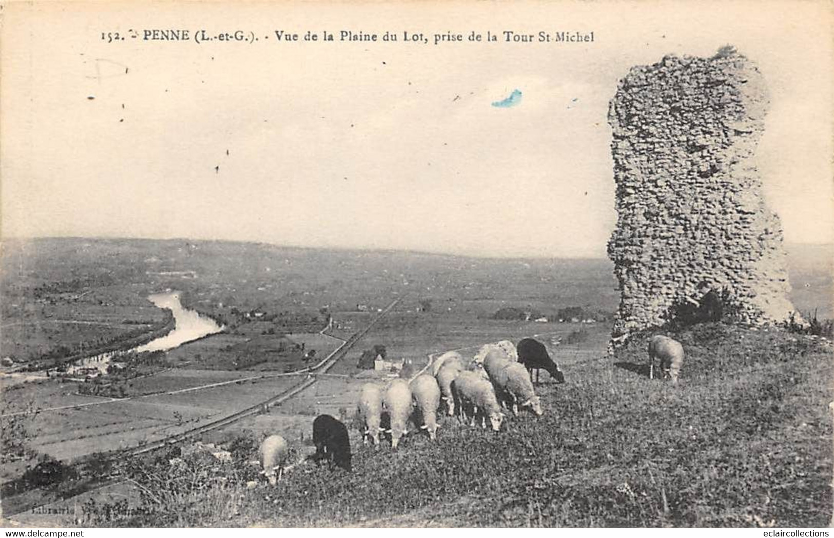 Penne      47           Vue De La Plaine. Troupeau De Moutons     (voir Scan) - Other & Unclassified