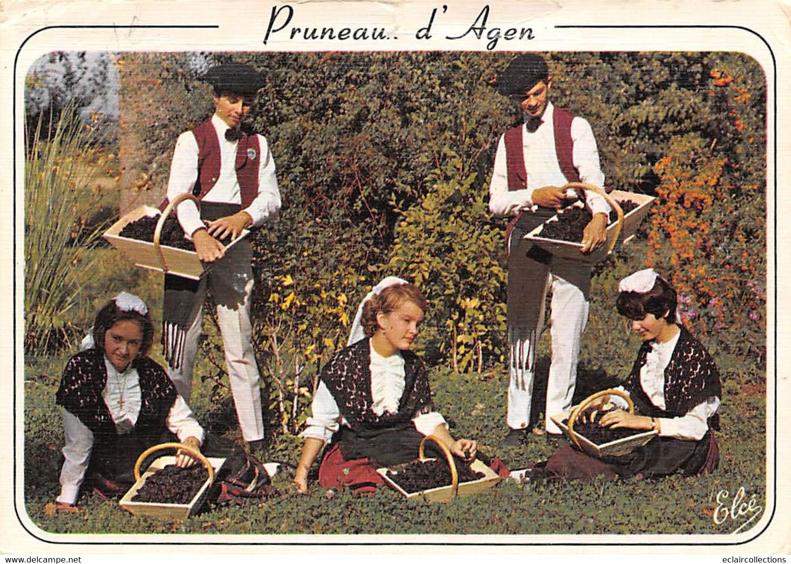 Non Classés . Divers.         47        Folklore Danseurs Danseuses Et Pruneaux D'Agen     (voir Scan) - Autres & Non Classés