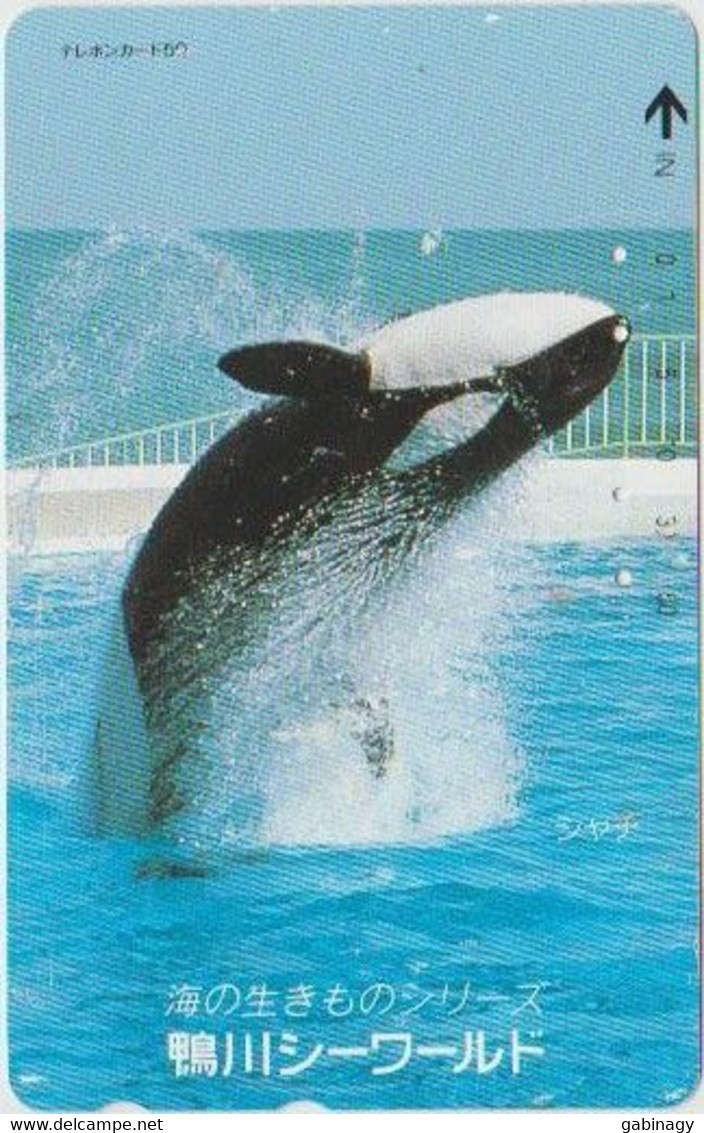 DOLPHINE - JAPAN-027 - 110-9444 - Delphine