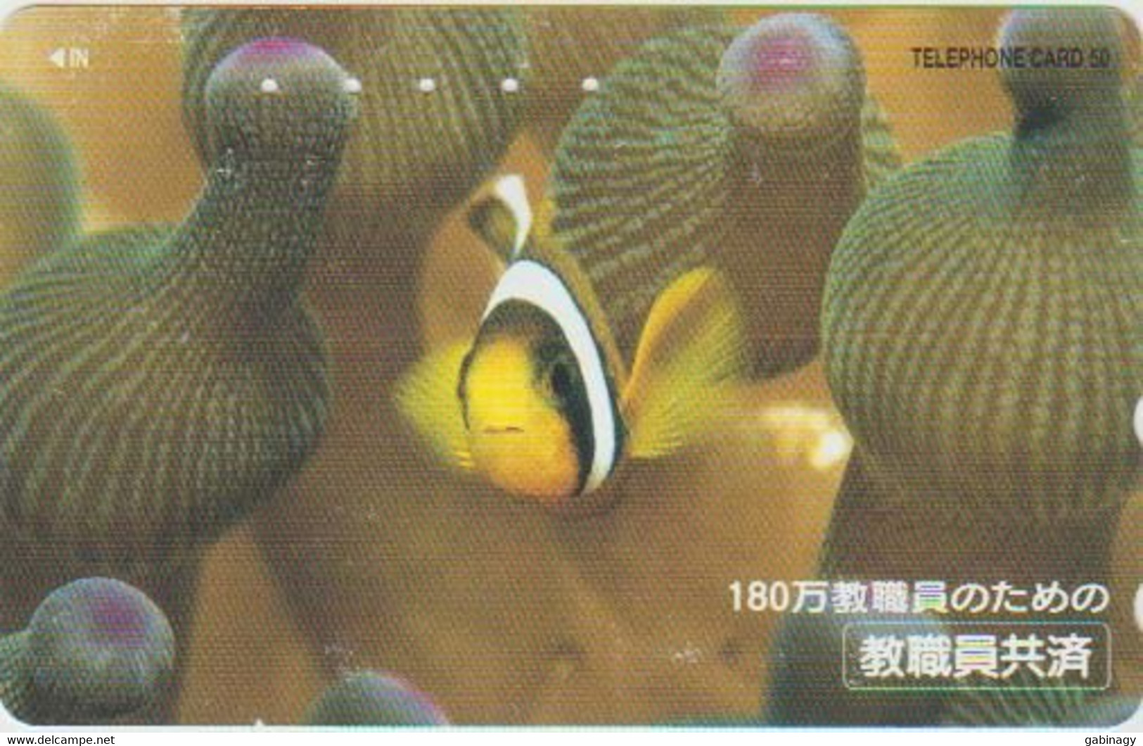 FISH - JAPAN - H049 - 310-00345 - Peces