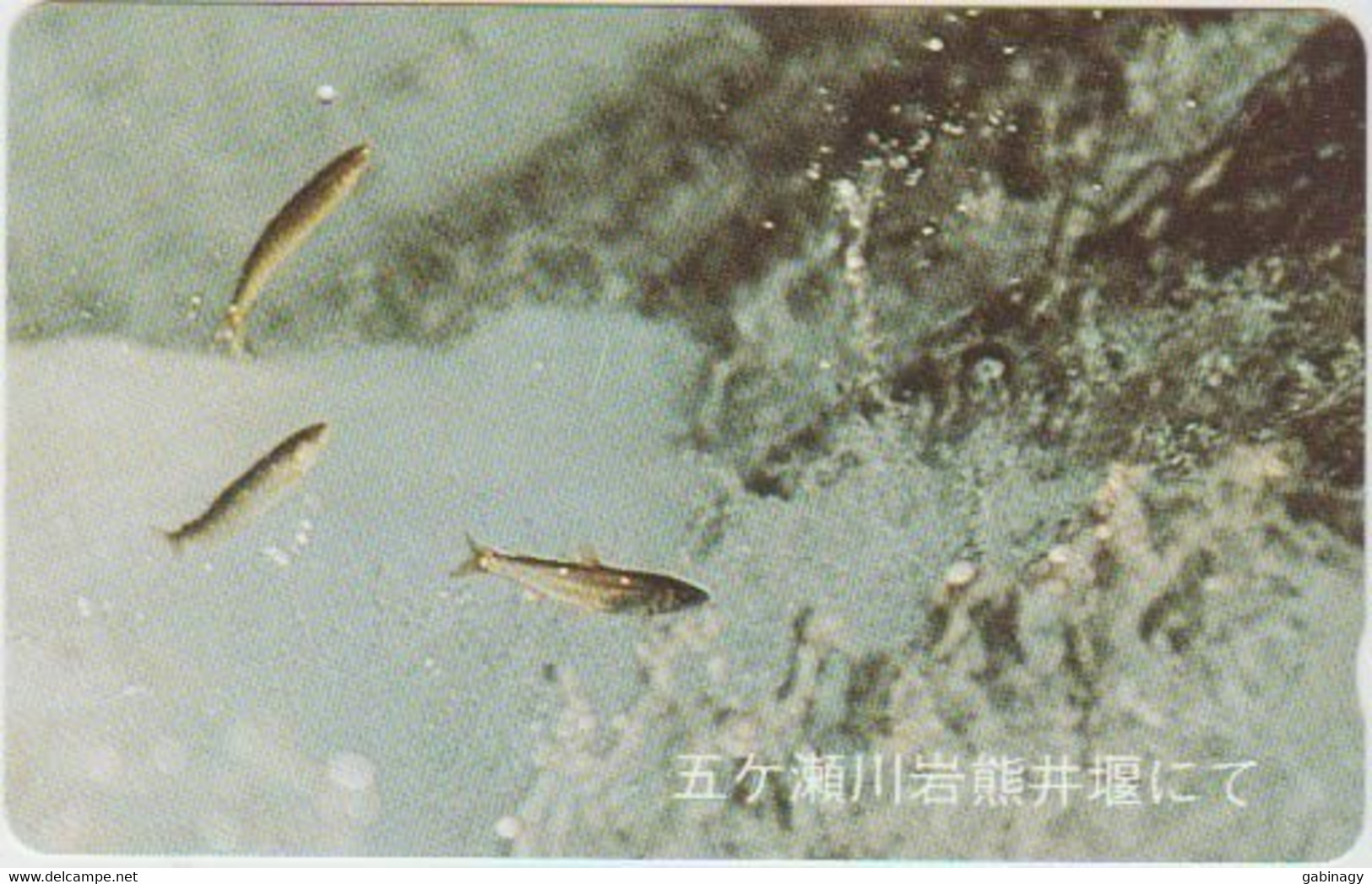 FISH - JAPAN - H050 - 110-011 - Fish