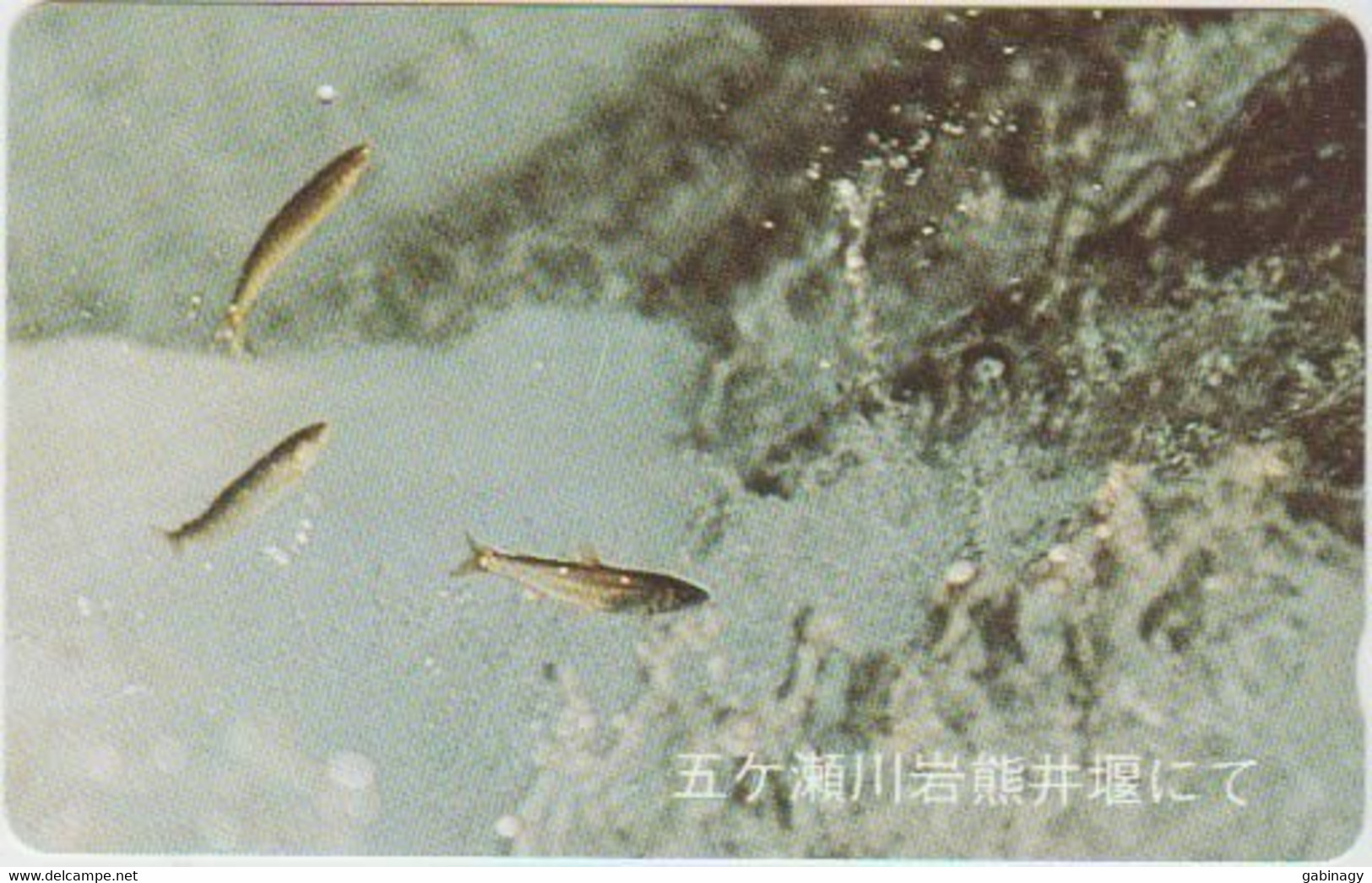 FISH - JAPAN - H050 - 110-011 - Peces