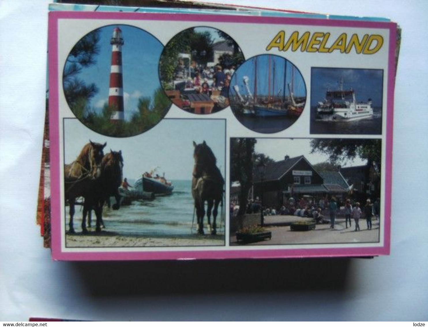 Nederland Holland Pays Bas Ameland Paarden Bij Reddingsboot En Andere Zaken - Ameland